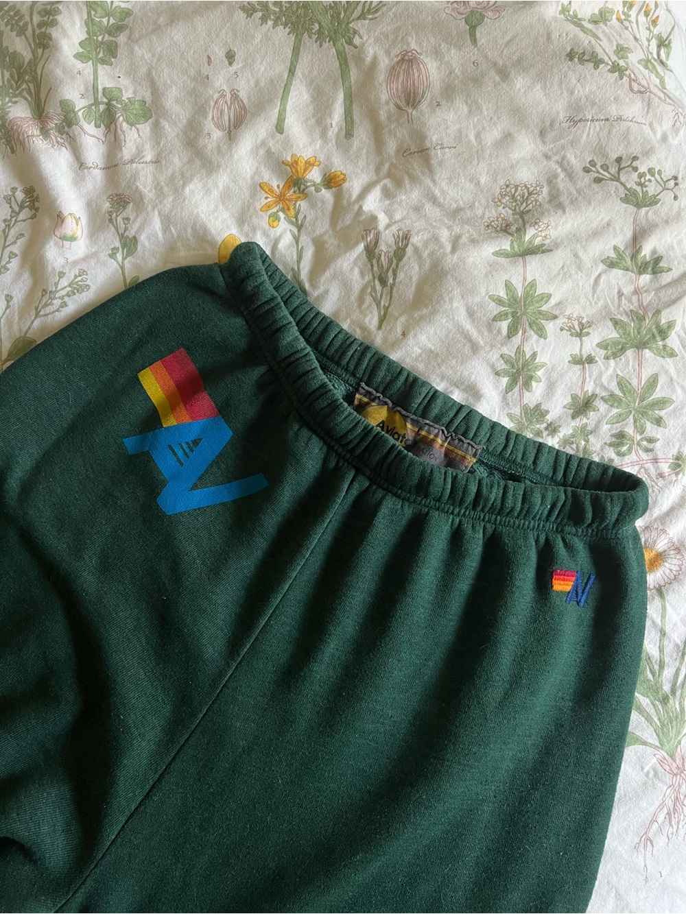 Forest Green Aviator Nation Sweatpants